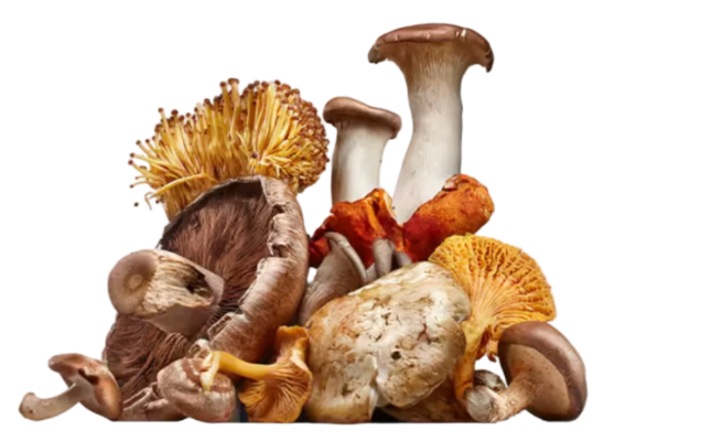 Beta-Glucans